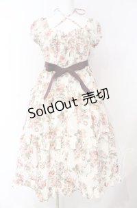 Victorian maiden / Afternoonベリーヘンリエッタドレス  ローズ O-25-08-26-065-CL-OP-OW-OS