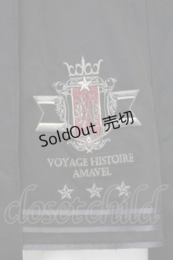画像3: Amavel / Histoire Epeist レイヤードスカート F クロ O-25-09-04-1032-CA-SK-YM-OS