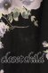 画像4: axes femme / レースアップスカウチョ  クロ 花柄 O-25-09-09-065-AX-PA-IG-OS (4)