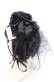 画像1: metamorphose / ローズリボン円形ヘッドドレス  クロ O-25-09-19-026-ME-AC-OW-OS (1)