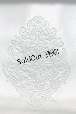 画像2: axes femme / ハリー・ポッタ-／サッチェル  グリーン O-25-09-23-1044-AX-BG-OW-ZT335