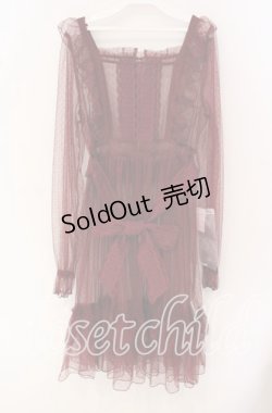 画像1: Chalmiere / ドットチュールガウン  ワイン O-25-09-27-064-LO-OP-IG-OS