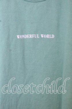 画像2: WONDERFUL WORLD / ロゴプリントTシャツ  グリーン O-25-10-10-078-LO-TS-IG-OS