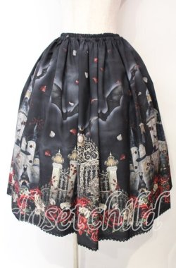 画像1: Enchantlic Enchantilly / 幻影薔薇城〜コウモリ公爵からの招待状〜スカート  赤い夜 O-25-10-11-010-LO-SK-IG-OS