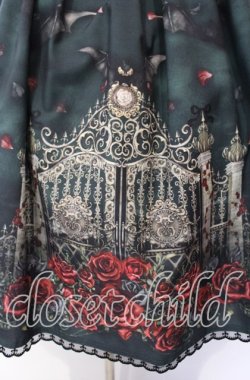 画像2: Enchantlic Enchantilly / 幻影薔薇城〜コウモリ公爵からの招待状〜スカート  緑の夜 O-25-10-11-011-LO-SK-IG-OS