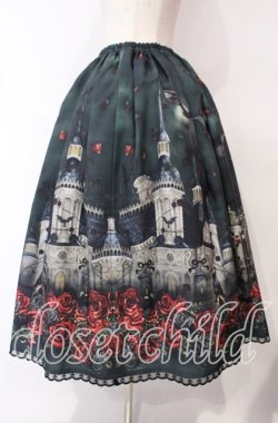 画像3: Enchantlic Enchantilly / 幻影薔薇城〜コウモリ公爵からの招待状〜スカート  緑の夜 O-25-10-11-011-LO-SK-IG-OS