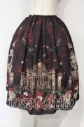 Enchantlic Enchantilly / 幻影薔薇城〜コウモリ公爵からの招待状〜スカート  赤い夜 O-25-10-18-006-LO-SK-OW-OS