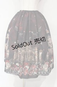 Enchantlic Enchantilly / 幻影薔薇城〜コウモリ公爵からの招待状〜スカート  赤い夜 O-25-10-18-006-LO-SK-OW-OS