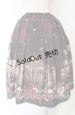 画像5: Enchantlic Enchantilly / 幻影薔薇城〜コウモリ公爵からの招待状〜スカート  赤い夜 O-25-10-18-006-LO-SK-OW-OS