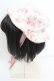 画像2: Mary Magdalene / 薔薇園キャノチェ  オフ×ピンク O-25-10-23-1007-CL-AC-IG-OS (2)