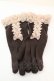 画像1: axes femme / リボンxレースフェミニン手袋  ブラウン O-25-10-25-1064-AX-BL-IG-OS (1)