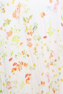 画像2: frache lippee / エンブロイダリーハネワンピース  オフ O-25-10-25-1038-LO-OP-IG-OS