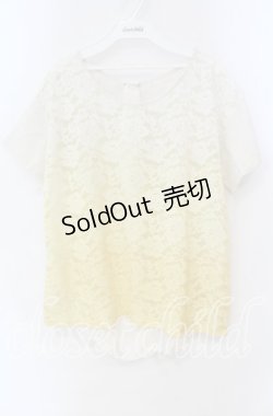 画像1: 【SALE】axes femme / グラデーションレースTシャツ  イエロー系 O-25-10-25-079-AX-TO-IG-ZT052