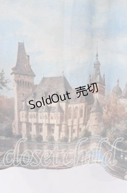 画像2: axes femme NOSTALGIE / ベイサージュ柄ロングスカート F ベージュ O-25-10-28-051-AX-PA-OW-OS