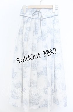 画像1: an another angelus / フロントレースアップピクニックトワル柄スカート  シロ×ブルー O-25-11-07-127-CA-SK-IG-OS