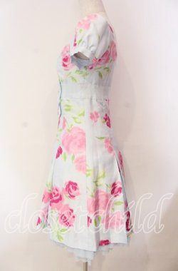 画像3: JESUS DIAMANTE / 小悪魔ワンピース 38 プリンセスJAPONローズ柄 サックス O-25-11-08-026-JE-OP-IG-OS