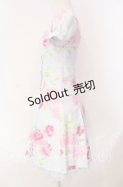 画像3: JESUS DIAMANTE / 小悪魔ワンピース 38 プリンセスJAPONローズ柄 サックス O-25-11-08-026-JE-OP-IG-OS