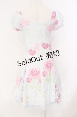 画像4: JESUS DIAMANTE / 小悪魔ワンピース 38 プリンセスJAPONローズ柄 サックス O-25-11-08-026-JE-OP-IG-OS