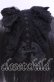 画像2: ATELIER PIERROT / Gothic LatticeS HeadDress(Clip Version)  ブラック O-25-11-11-1034-EL-AC-OW-OS (2)