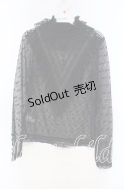 画像1: Hoshibako Works / エアリーフローラブラウス  クロ O-25-11-15-058-LO-BL-IG-OS