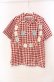 画像1: WONDERFUL WORLD / ロゴパッチギンガムシャツ  アカ×シロ O-25-11-17-026-LO-BL-IG-OS (1)