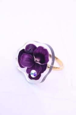画像1: Enchantlic Enchantilly / Dolled Up Ring （すみれ）  眩ゆいすみれ O-25-11-21-1047-LO-AC-OW-OS