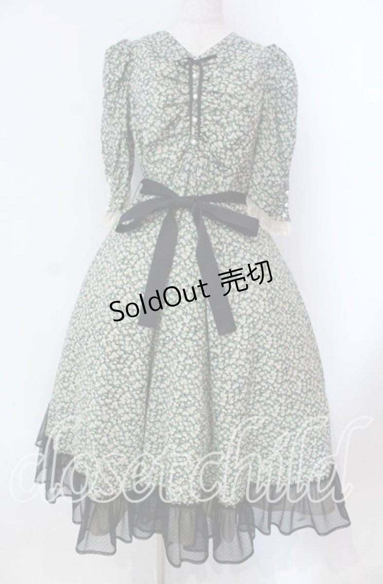 画像1: Victorian maiden / Paris Daisy レディドレス  クロ O-25-11-27-002-CL-OP-IG-OS (1)