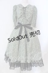 Victorian maiden / Paris Daisy レディドレス  クロ O-25-11-27-002-CL-OP-IG-OS