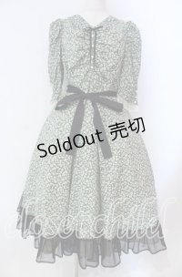 Victorian maiden / Paris Daisy レディドレス  クロ O-25-11-27-002-CL-OP-IG-OS