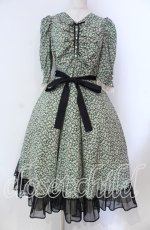画像1: Victorian maiden / Paris Daisy レディドレス  クロ O-25-11-27-002-CL-OP-IG-OS (1)