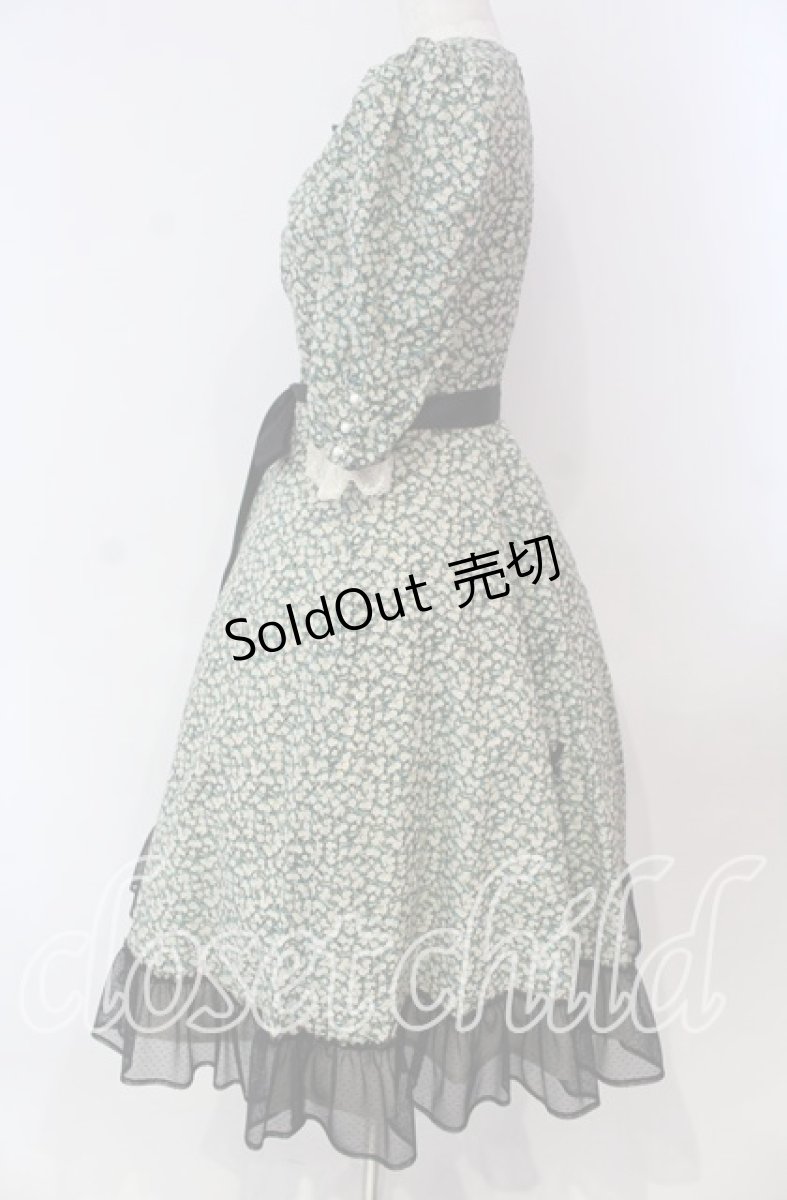 画像3: Victorian maiden / Paris Daisy レディドレス  クロ O-25-11-27-002-CL-OP-IG-OS (3)