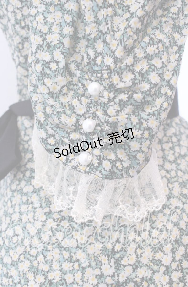 画像4: Victorian maiden / Paris Daisy レディドレス  クロ O-25-11-27-002-CL-OP-IG-OS (4)