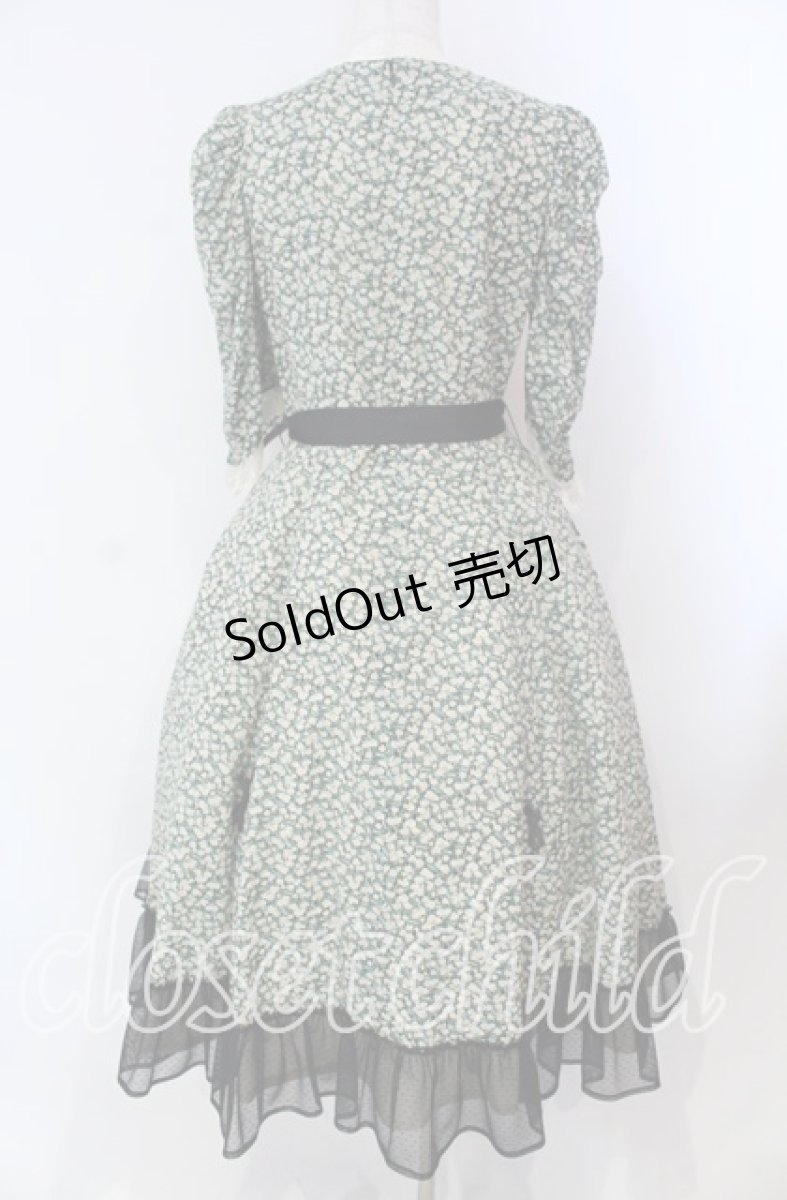 画像5: Victorian maiden / Paris Daisy レディドレス  クロ O-25-11-27-002-CL-OP-IG-OS (5)
