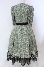 画像5: Victorian maiden / Paris Daisy レディドレス  クロ O-25-11-27-002-CL-OP-IG-OS (5)