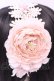 画像2: Innocent World / ラナンキュラスの乙女ヘッドドレス  生成り*ピンク O-25-12-01-046-IW-AC-IG-OS (2)