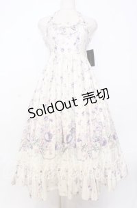 Victorian maiden / ローズガーデンロングドレス  ムーンライトブルー O-25-12-05-004-CL-OP-OW-OS