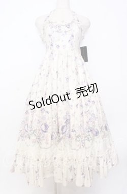 画像1: Victorian maiden / ローズガーデンロングドレス  ムーンライトブルー O-25-12-05-004-CL-OP-OW-OS