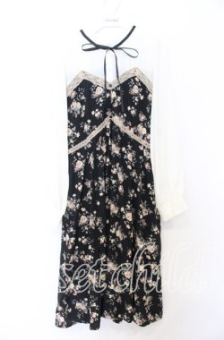 画像1: axes femme / ビスチェ切替バラ柄ワンピース Ｍ クロ×アイボリー O-25-12-05-085-AX-OP-IG-OS