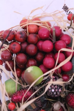 画像2: KANEKO ISAO / 葡萄コサージュ  - O-25-12-18-2005-EL-AC-IG-OS