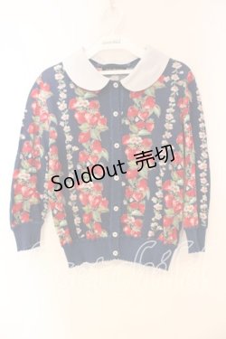 画像1: Jane Marple / Strawberry Topiaryのカーディガン Ｍ ネイビー O-25-12-23-070-JM-TO-IG-ZT216