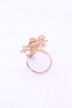 画像2: BABY,THE STARS SHINE BRIGHT / Juno's Bouquetクロスリング  ゴールド O-25-12-26-1020-BA-AC-OW-OS