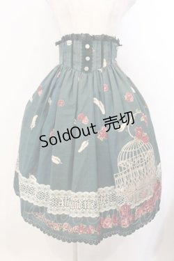 画像1: ALICE and the PIRATES / The END of immortal EDEN柄スカート  グリーン O-26-01-13-008-PA-SK-IG-OS