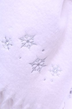 画像2: axes femme / 雪の結晶刺繍ストール  キナリ O-26-01-16-1084-AX-ZA-OW-OS