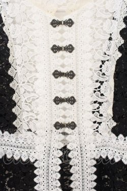 画像2: axes femme NOSTALGIE / 配色使い総レースガウン F クロ×キナリ O-26-01-17-061-AX-TO-OW-OS