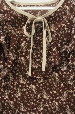 画像2: an another angelus / 小花柄ラッフルフリルブラウス  ブラウン O-26-01-19-1008-CA-BL-IG-OS