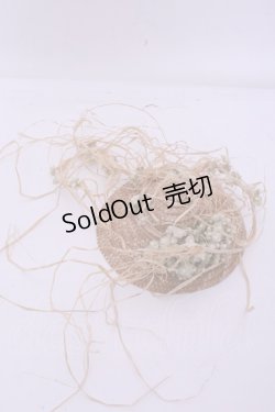 画像1: PINK HOUSE / 麦わらハットコサージュ  ナチュラル O-26-01-20-1073-LO-ZA-IG-OS