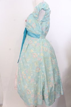 画像2: Secret Honey / ジゼルのカーテンドレス  ミント系 O-26-01-20-032-CA-OP-IG-OS