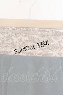 画像2: Secret Honey / ダンブロッホSET UP(メリダver)スカート単品 2 グリーン O-26-01-26-083-CA-SK-OW-OS