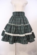 Eri Aino's Collection / シャーロットの水曜日スカート M グリーンチェック O-26-01-27-020-LO-SK-IG-OS