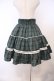 画像3: Eri Aino's Collection / シャーロットの水曜日スカート M グリーンチェック O-26-01-27-020-LO-SK-IG-OS (3)